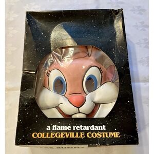 Collegeville Babs Bunny Tiny Toons Adventure Halloween Costume Original Box 1990